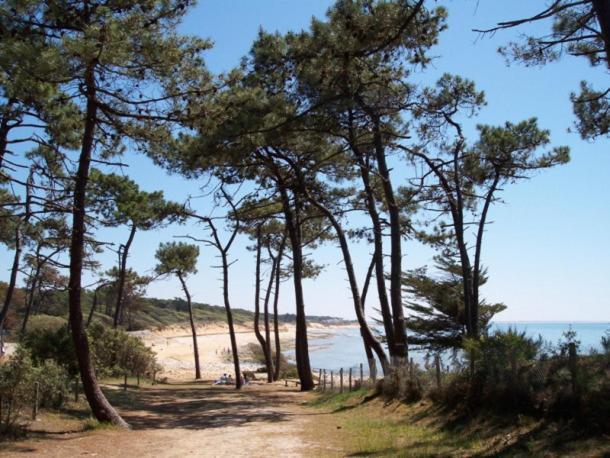 Villa L'Acacias Longeville-sur-Mer Exteriör bild